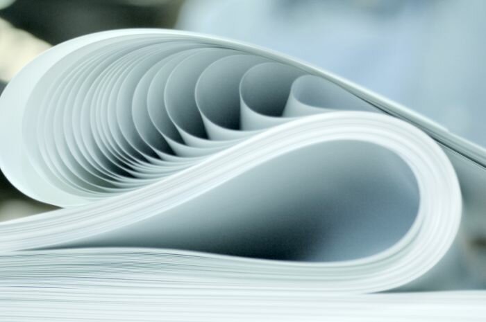 «Бумага все стерпит, все снесет»